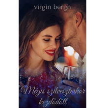 Virgin Bergh - Mégis szilveszterkor kezdődött ( ebook novella ) 